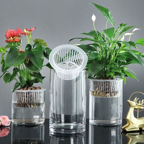 直筒水培植物玻璃瓶子透明圆柱形花瓶简约懒人大花盆桌面鱼缸器皿